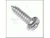 TORX OVAL-HEAD SCREW – Part Number: 1613435011