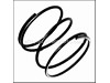 COMPRESSION SPRING – Part Number: 1614621004