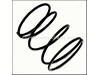 COMPRESSION SPRING – Part Number: 1614621005