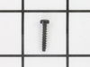 SELF-TAPPING SCREW – Part Number: 1619P00219