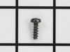 TORX OVAL-HEAD SCREW – Part Number: 1619P02848