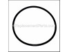 O-RING – Part Number: 1900210160