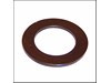 RETAINING WASHER – Part Number: 2600101671