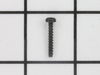 TORX OVAL-HEAD SCREW – Part Number: 2609110353