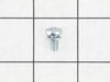 WASHER AND SCREW ASSEMBLY – Part Number: 2914501022