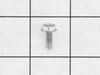Freezer Screw – Part Number: 216337701