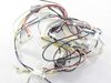 1993467-2-S-Frigidaire-5304464100-WIRING HARNESS