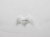 2076360-3-S-Whirlpool-70197-1-Door Shelf Retainer
