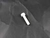 231266-3-S-GE-WB13K10003        -Top Burner Electrode