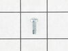 SCREW – Part Number: 216707801