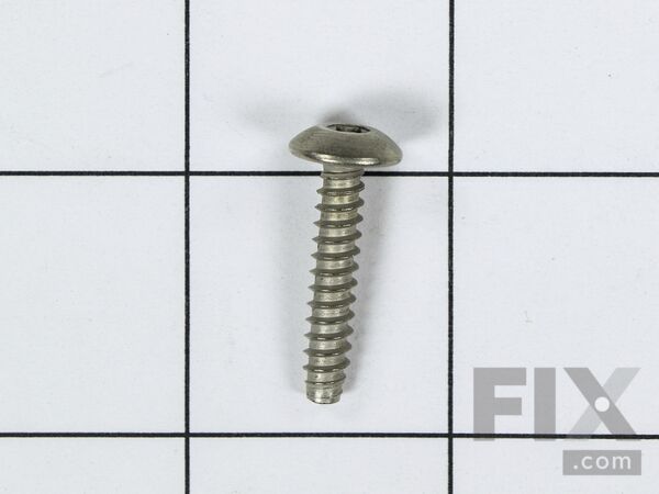 234294-1-M-GE-WB1K63            -SCREW 10-16 X 0.95 Inch