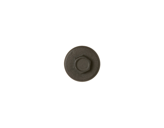 234418-1-M-GE-WB1X1121          -Valve Screw