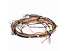WIRING HARNESS – Part Number: 318384436