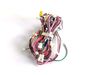 HARNESS – Part Number: 137244100