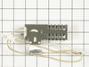 241804-2-S-GE-WB2X10016         -Flat Style Oven Igniter with Wire Harness and Bracket
