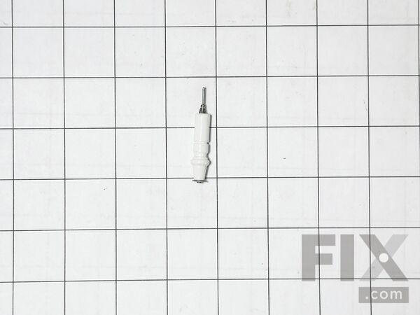 243282-1-M-GE-WB2X8598          -Electrode