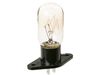 247394-2-S-GE-WB36X10194        -Incandescent Lamp