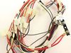 2579962-2-S-Whirlpool-W10256892-HARNS-WIRE