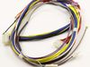 HARNESS – Part Number: 318402341
