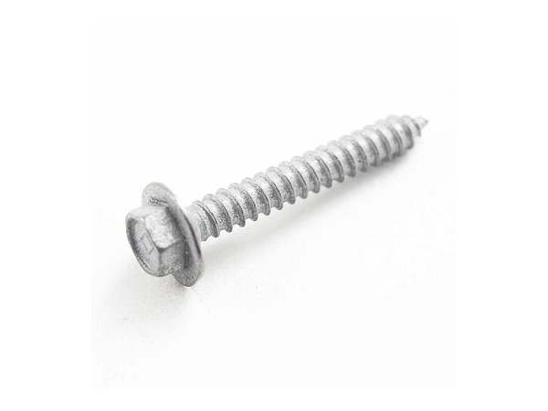 268973-1-M-GE-WH02X10024        -Screw