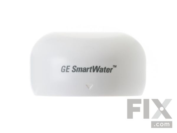 285042-1-M-GE-WR02X10621        -COVER WATER FILTER