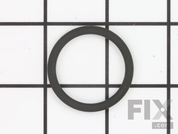 311060-1-M-GE-WS03X10011        -O-Ring Seal