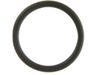 311060-2-S-GE-WS03X10011        -O-Ring Seal