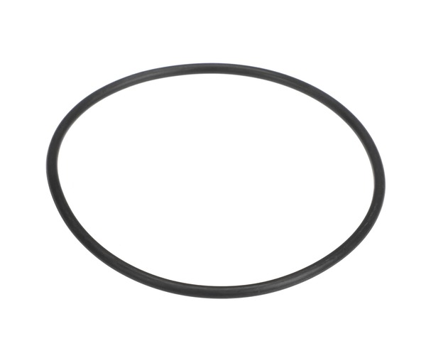 311086-1-M-GE-WS03X10038        -Sump Housing O-Ring