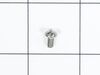 Screw Package of 12 – Part Number: WZ2X45D