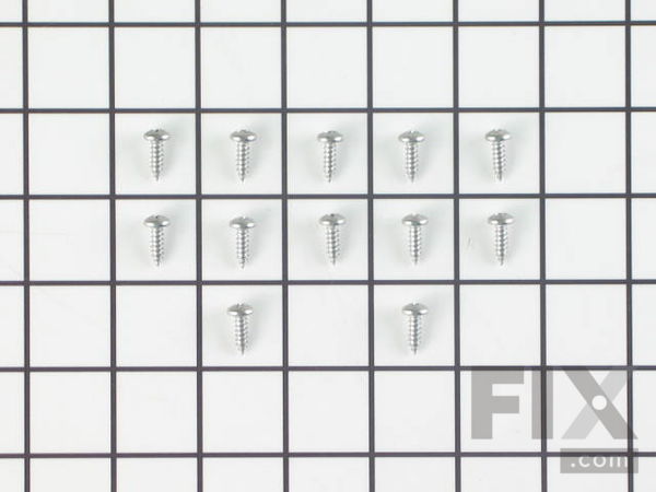 312570-1-M-GE-WZ4X241D          -Screws - 12 per package