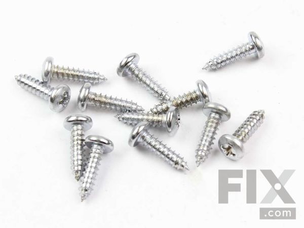 312575-1-M-GE-WZ4X245D          -Philips Head Screw - Package of 12