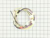Main Harness – Part Number: 316580100