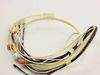 3409113-2-S-Frigidaire-316580100-Main Harness