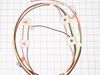 Igniter Harness – Part Number: 316580619