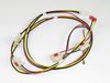 HARNESS-IGNITOR – Part Number: 316580620