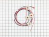 Ignitor Harness – Part Number: 316580625