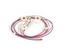 3409156-2-S-Frigidaire-316580625-Ignitor Harness