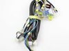HARNESS-WIRING – Part Number: 242119101