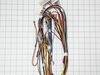 HARNESS – Part Number: 318228989