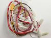 3510668-1-S-GE-WB18X10455-HARNESS