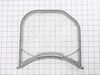 Dryer Lint Filter – Part Number: ADQ56656401