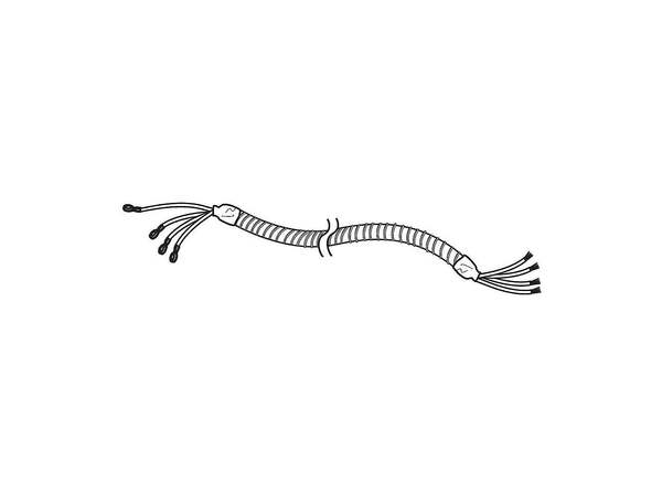 3642508-1-M-LG-EAD60833505-HARNESS,SINGLE