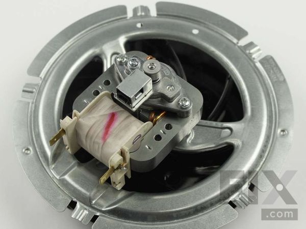 3651610-1-M-Frigidaire-318575604-MOTOR