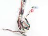 HARNESS – Part Number: 137503600