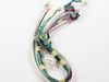 HARNESS – Part Number: 242018901