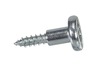 Special Screw – Part Number: 6009-001252