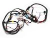 4216874-1-S-Samsung-DC96-01043E-Main Wire Harness