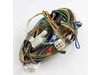 Main Wire Harness – Part Number: DD96-00049A