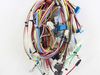 4241538-2-S-Samsung-DG96-00159A-Main Wire Harness Assembly