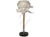 450361-1-S-Frigidaire-5300165317        -DISCONTINUED